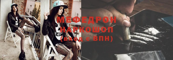 шишки Няндома
