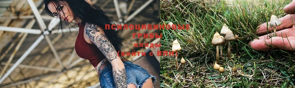 прущая мука Дмитровск
