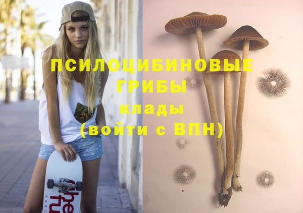 прущая мука Дмитровск