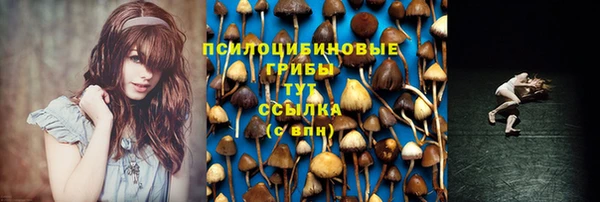 гашиш Дмитриев