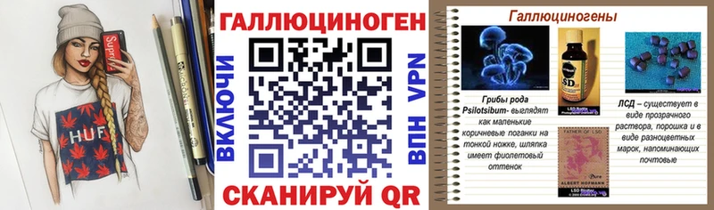 Галлюциногенные грибы Psilocybine cubensis Волгореченск