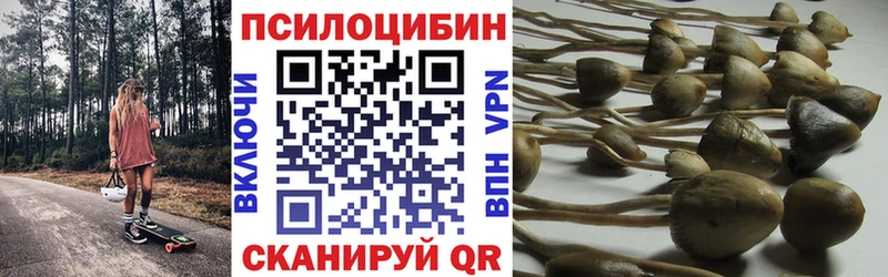 Галлюциногенные грибы Magic Shrooms  Волгореченск 