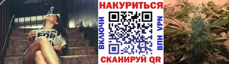 наркотики  Волгореченск  Марихуана конопля 